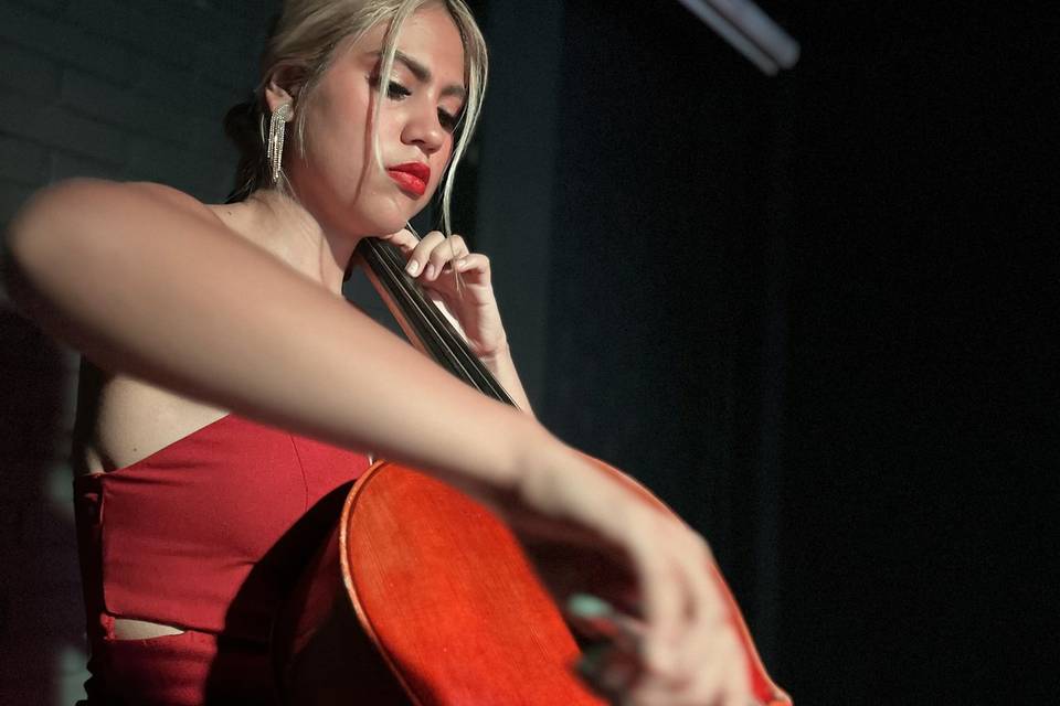 Dany Voz & Cello
