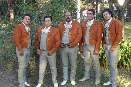 Músicos profesionales