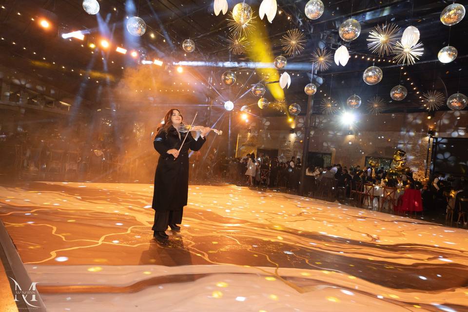 Violinista