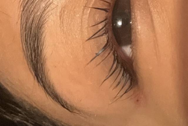 Laura Zaragoza Brow Concierge