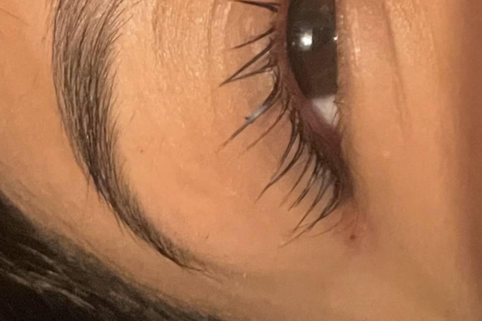 Laura Zaragoza Brow Concierge