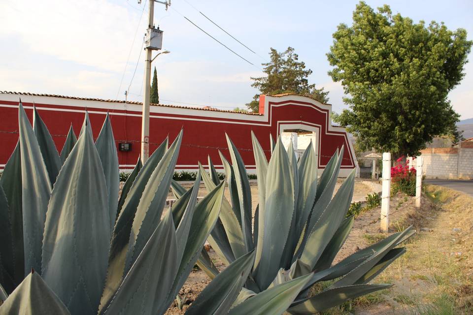 La entrada