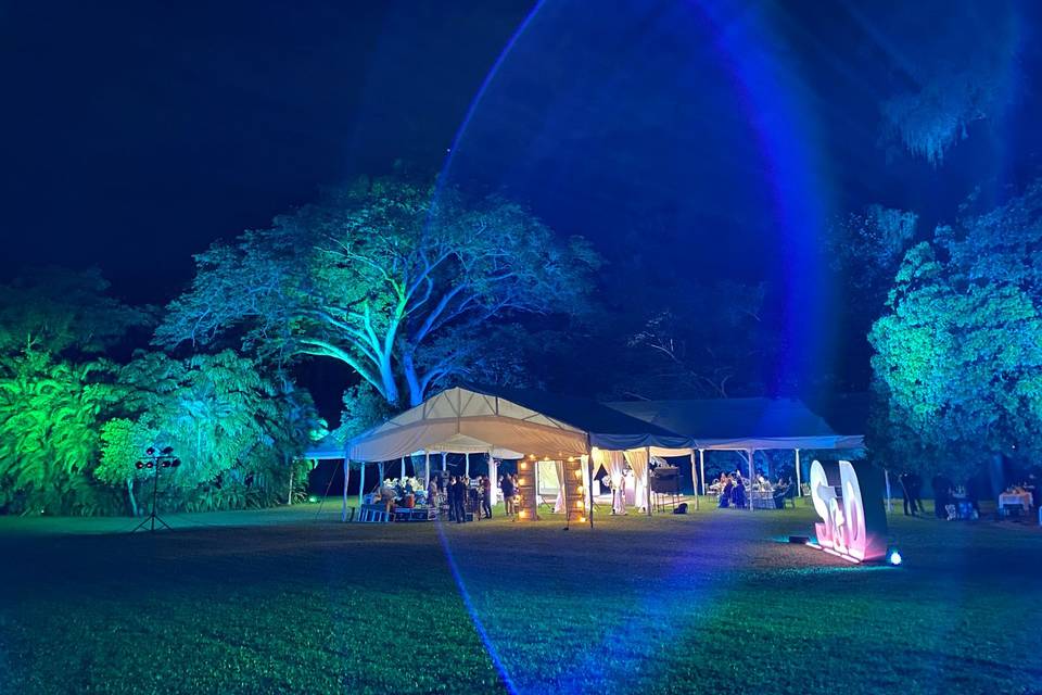 Iluminación profesional - boda