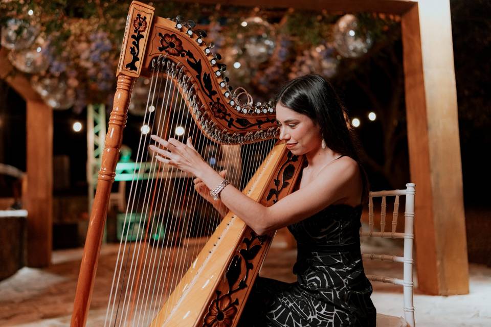 Arpa para tus Eventos
