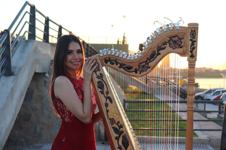 Arpa para tus Eventos