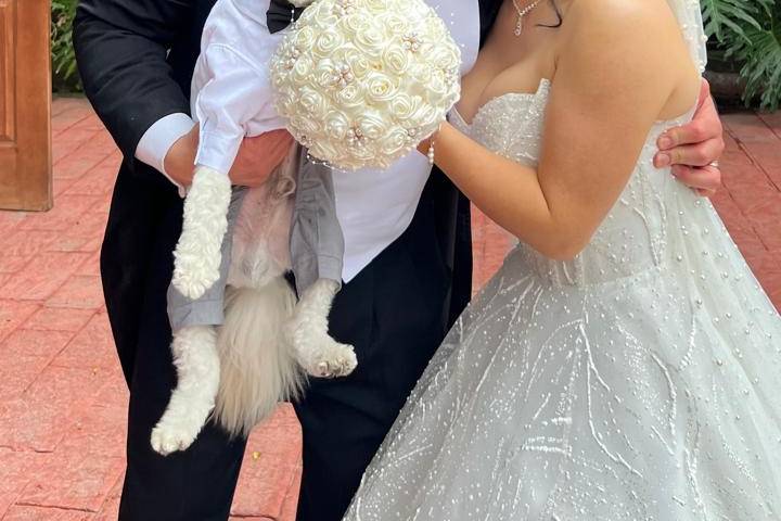 Fotos de calidad para eventos