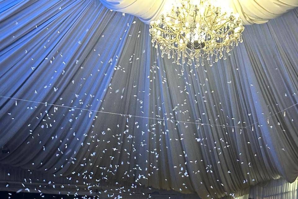 Fotos de calidad para eventos