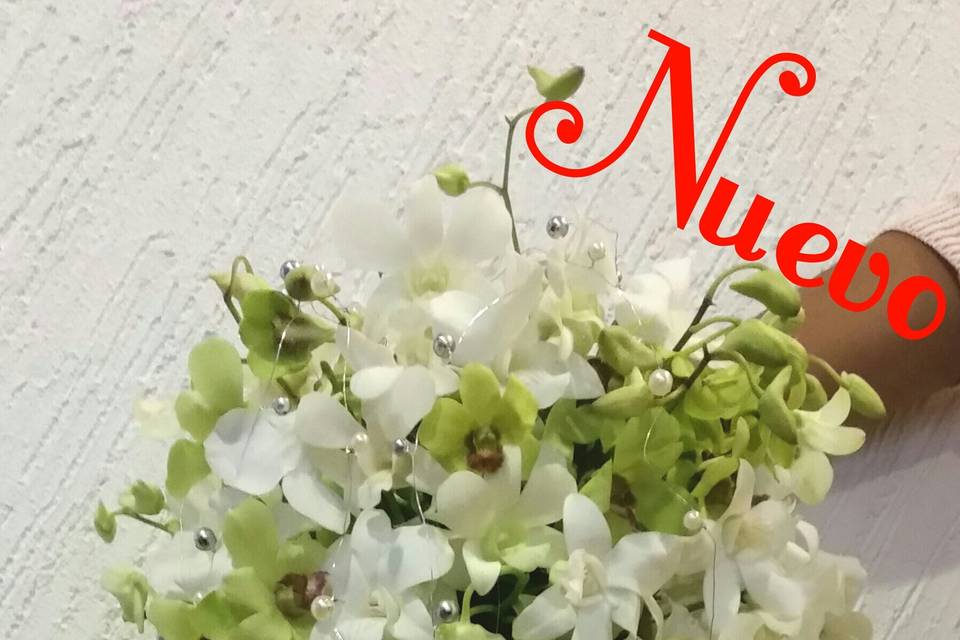 Ramo de Novia orquídeas