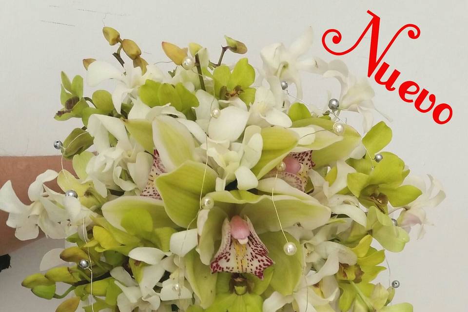 Ramo de Novia orquídeas verdes