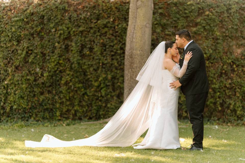 Boda Pau | David