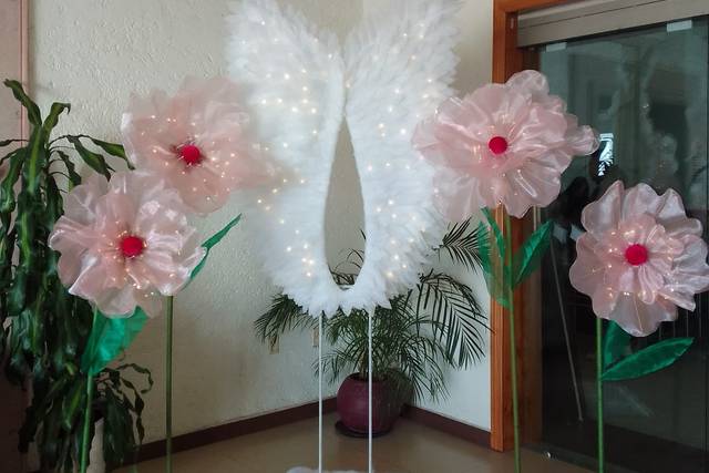 Set para fotos boda