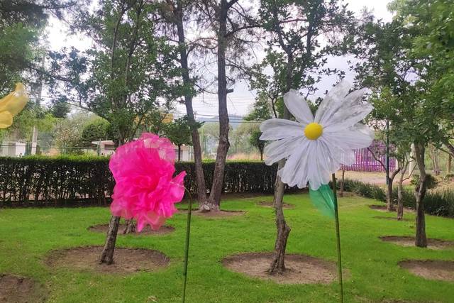 Decoración en Apizaco