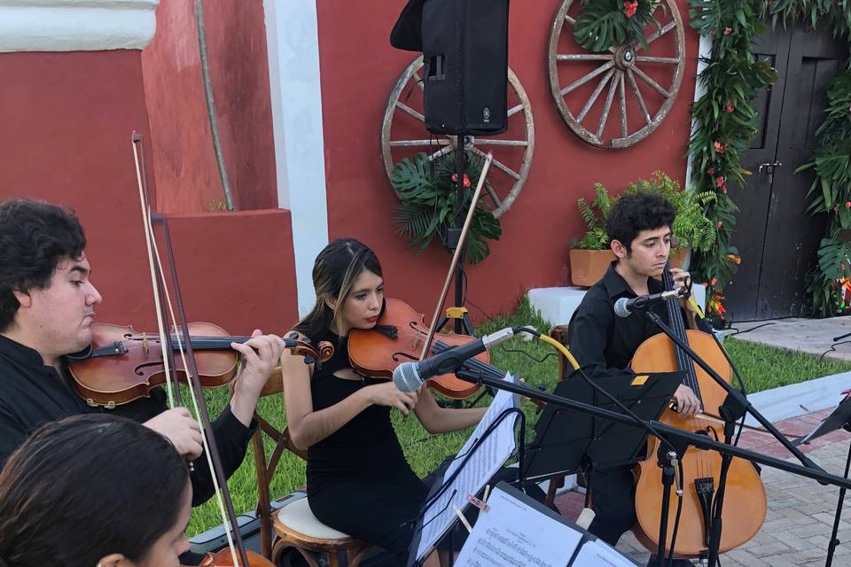 Quiroz Agencia Musical