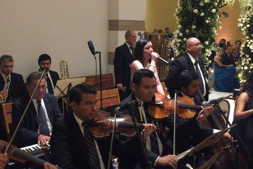 Quiroz Agencia Musical