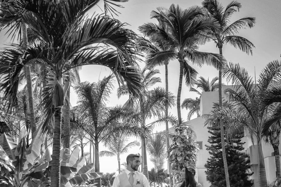 Weddings and Portraits México