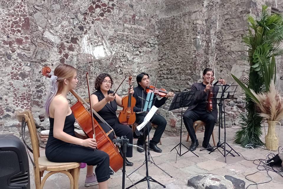 Violinista CDMX