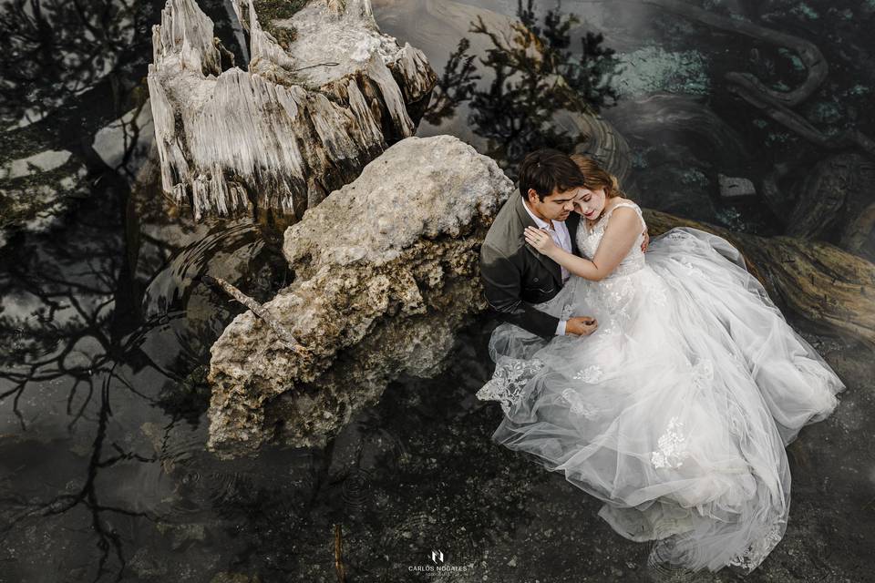 Trash the dress