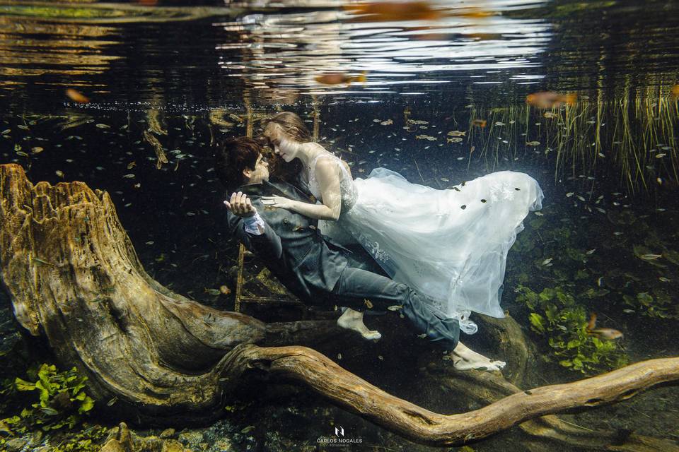 Trash the dress