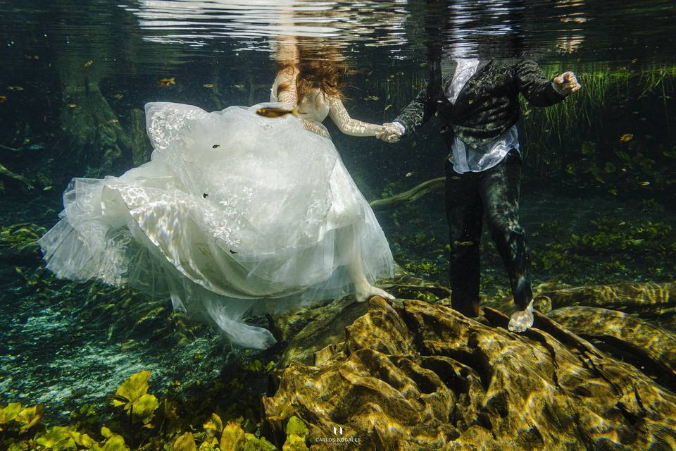 Trash the dress