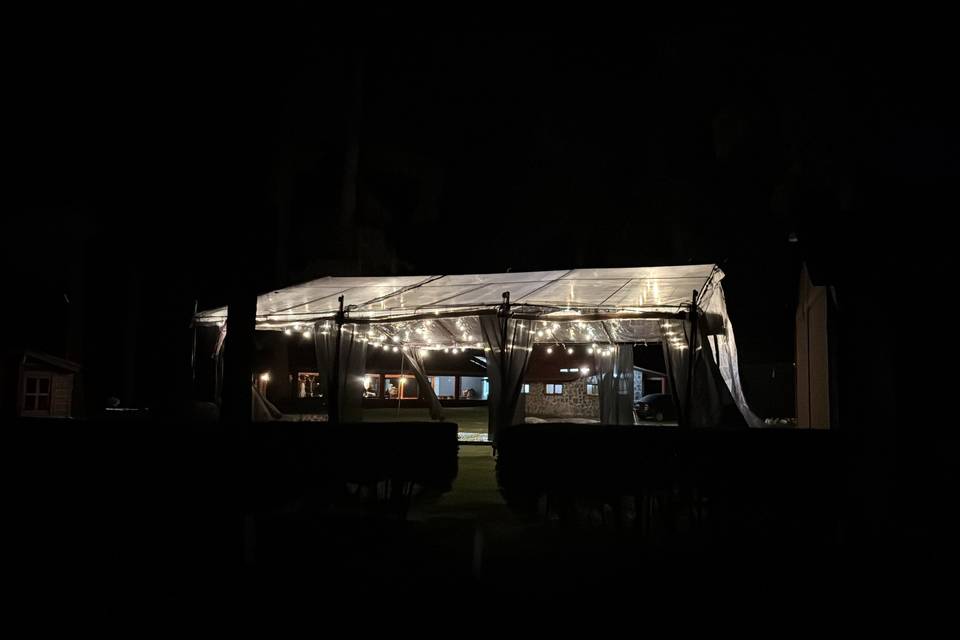 Carpa transdperente en bosque