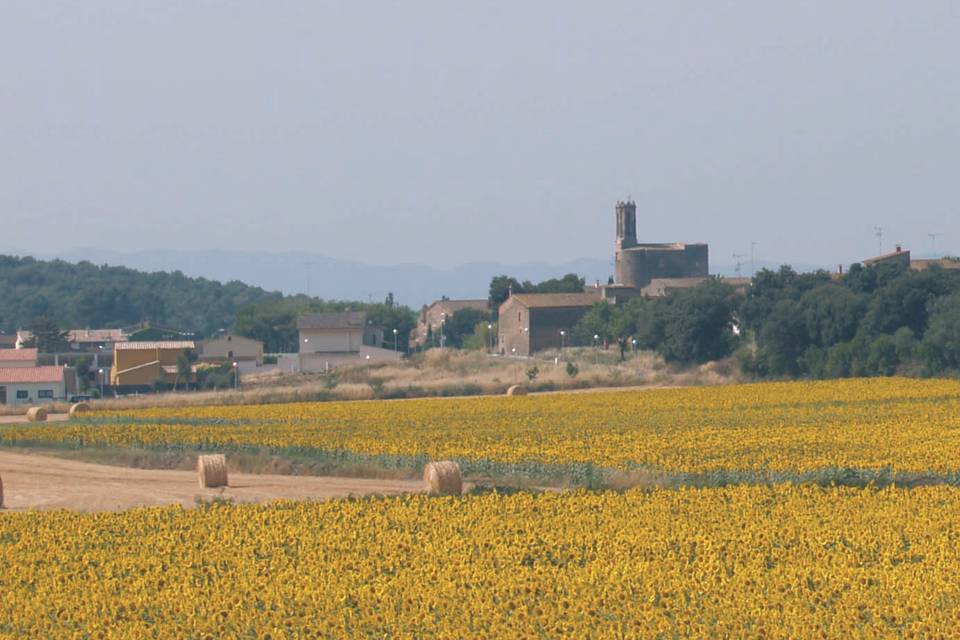 Fantásticos pueblos medievales