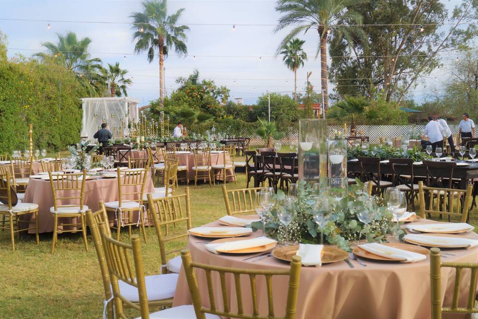 Banquete en jardín