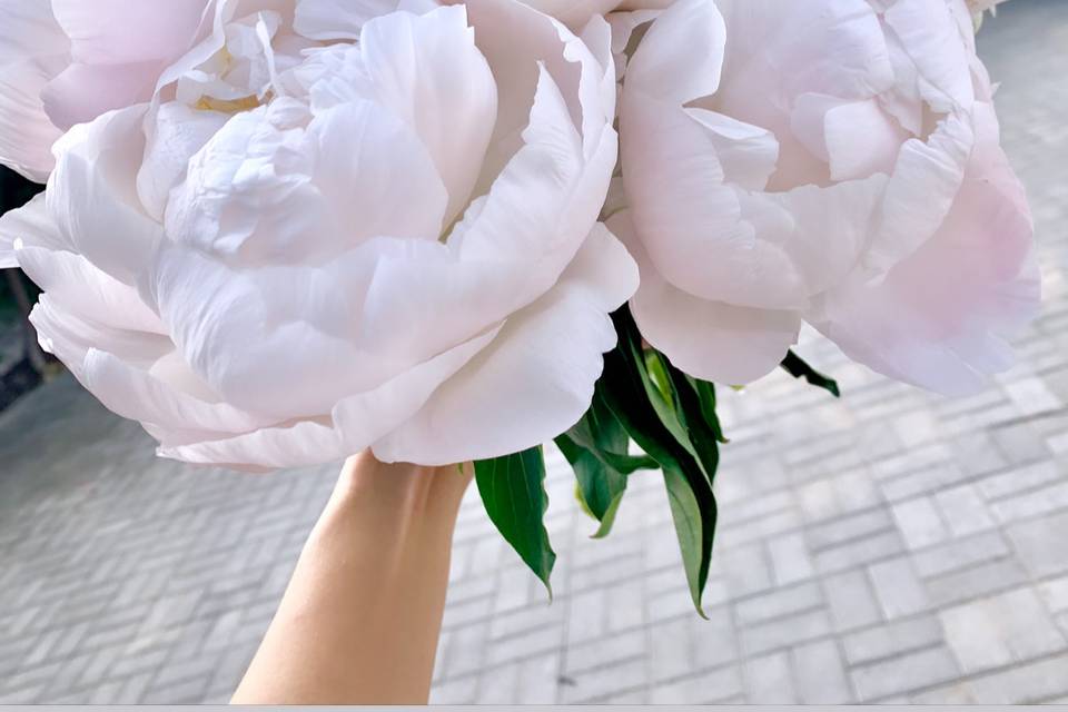Peonies bride bouquet