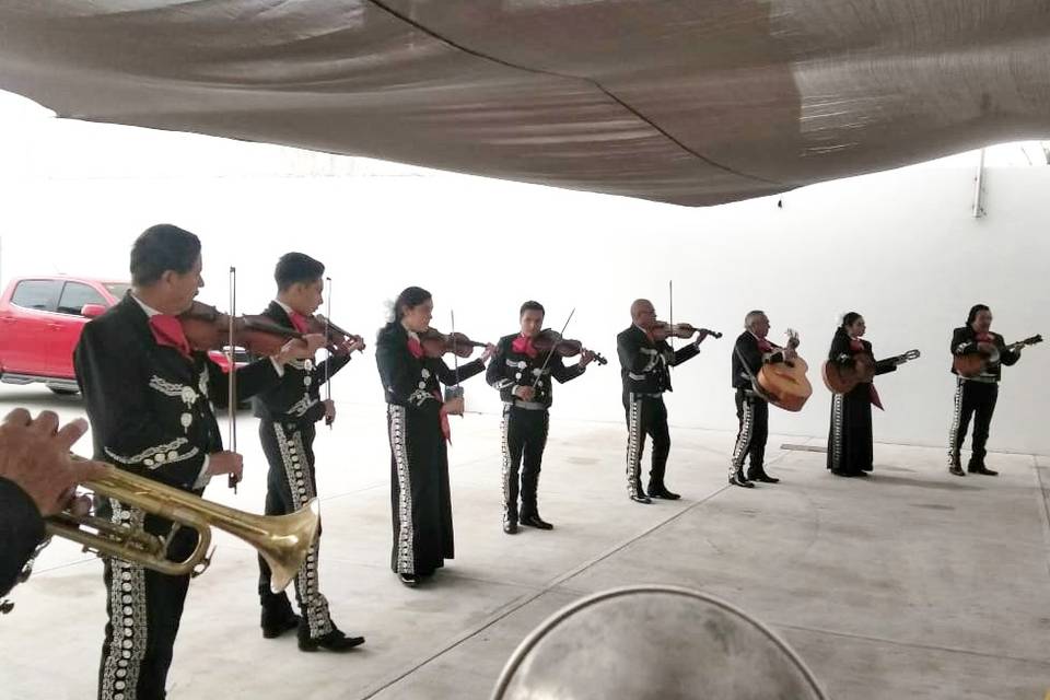 Mariachi Gala