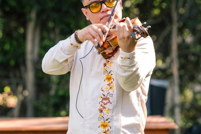 Jorge Robles - violinista
