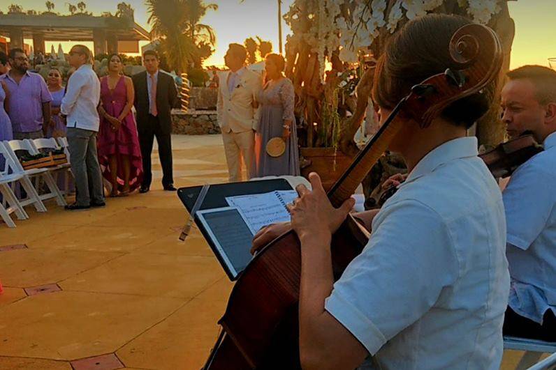 Boda Acapulco