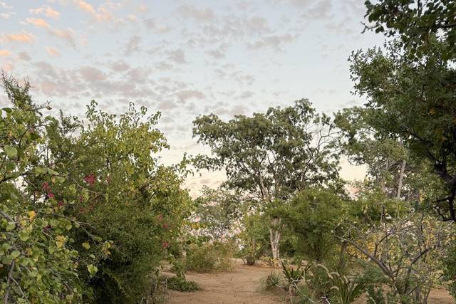Naturaleza Desertica