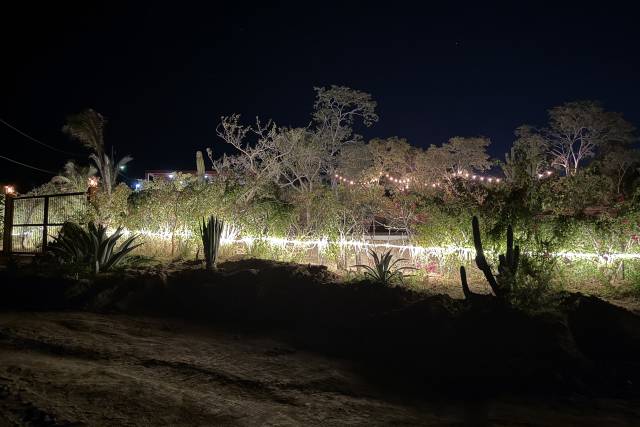 La Noche