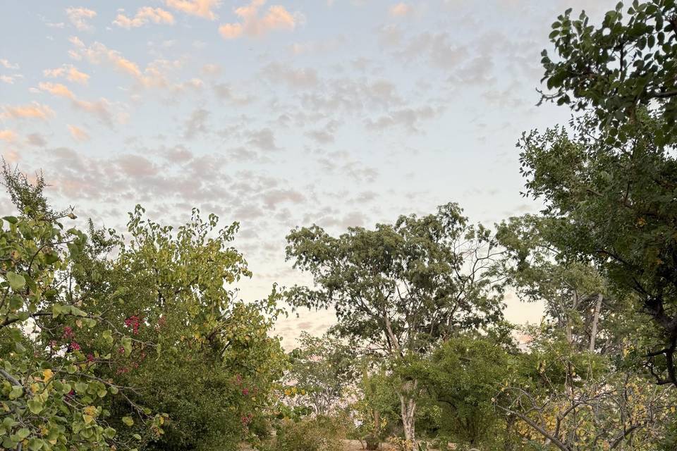 Naturaleza Desertica