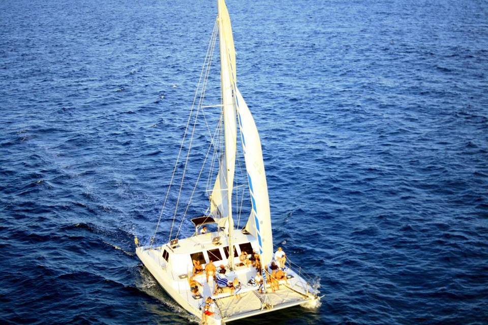 La boda en el barco