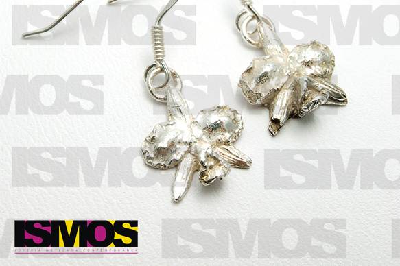 Aretes de plata