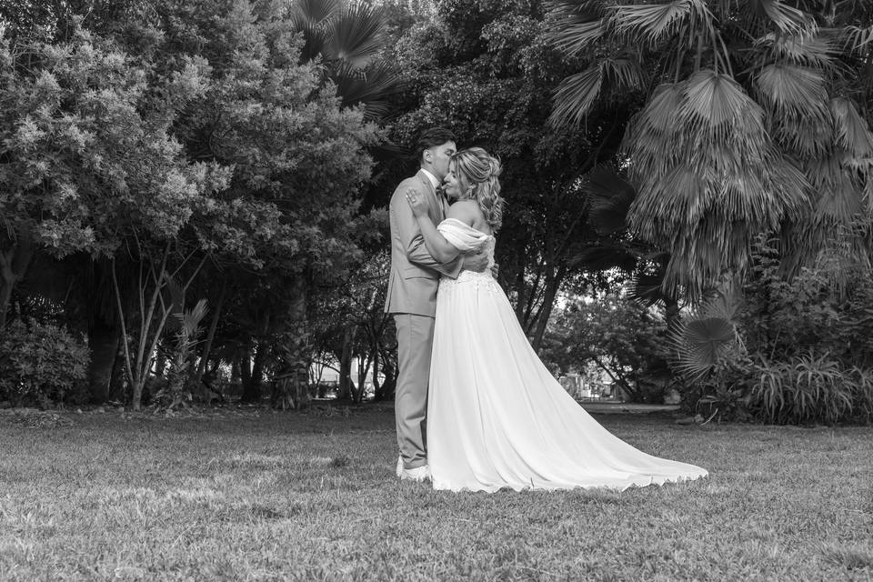 Novios