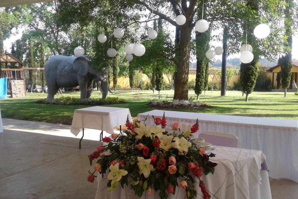 Jardín Elefante