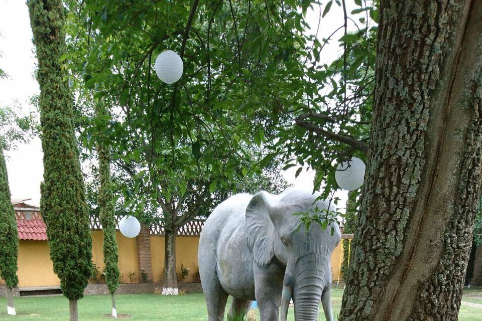 Jardín Elefante