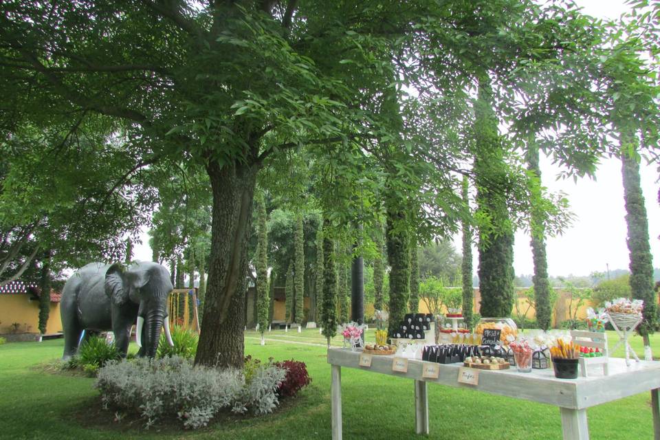Jardín Elefante
