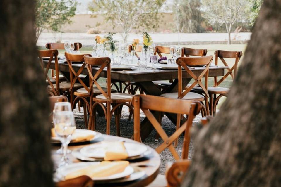 Boda en Viñedo