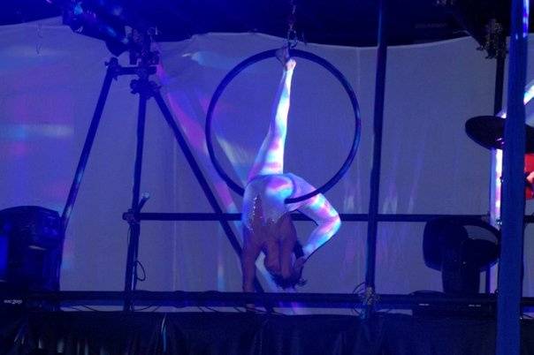 Shows