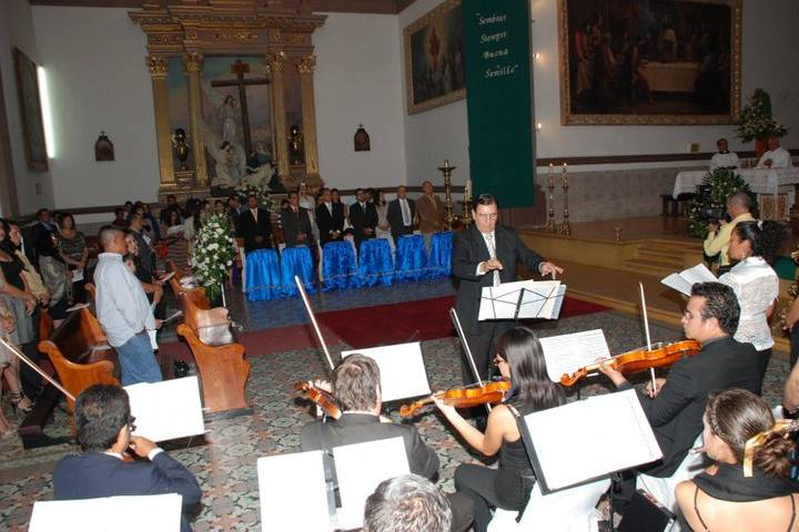 100% profesional