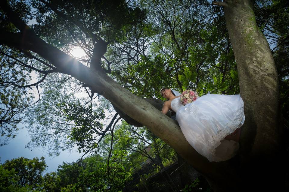 Novia en árbol