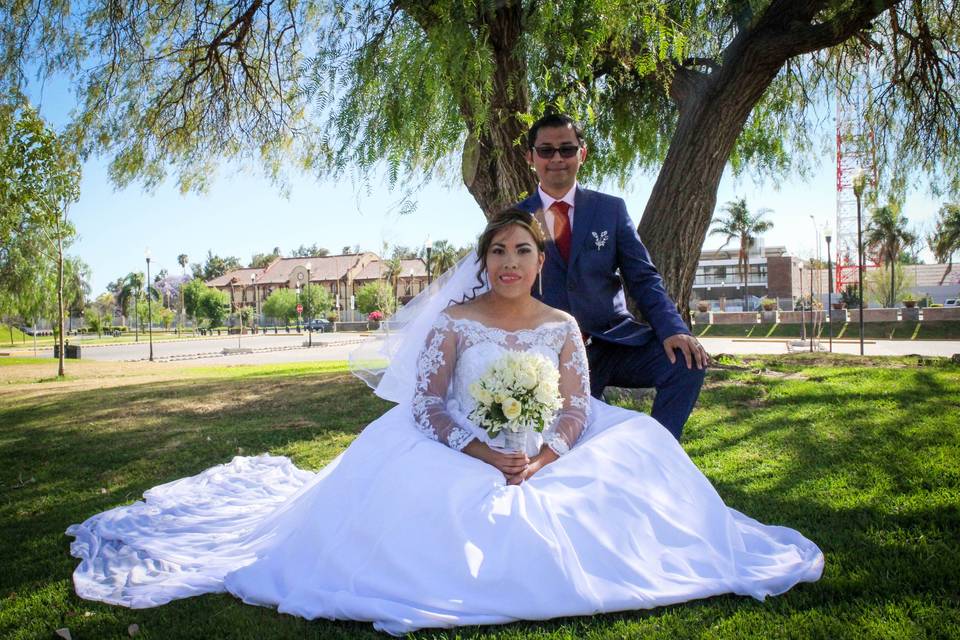 Novios sentados en un jardín