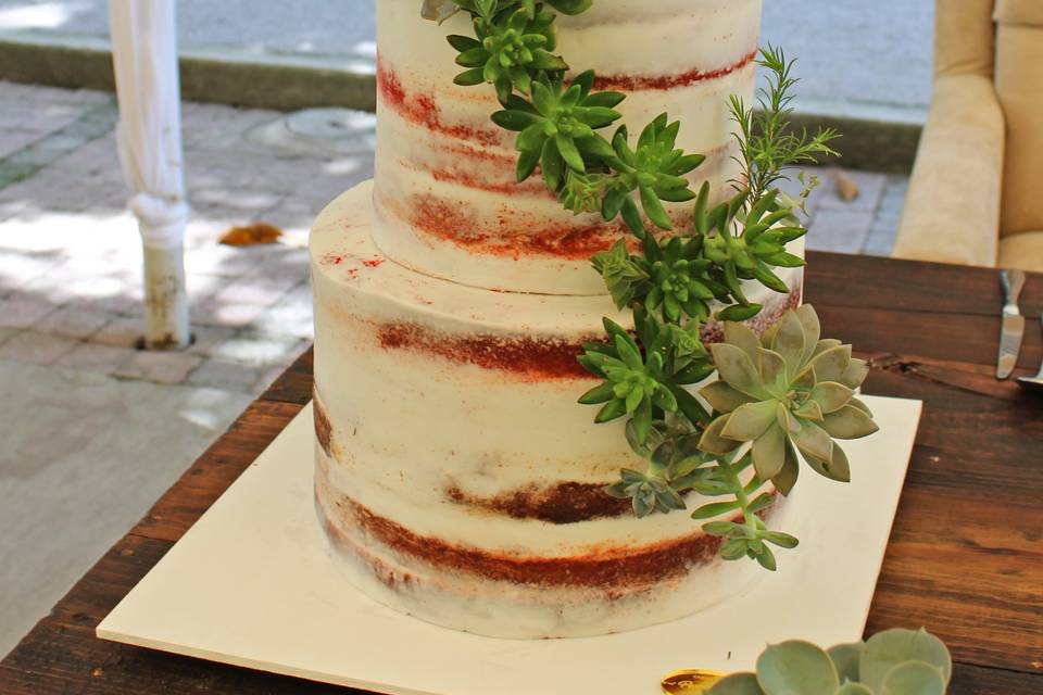 Naked cake con suculentas