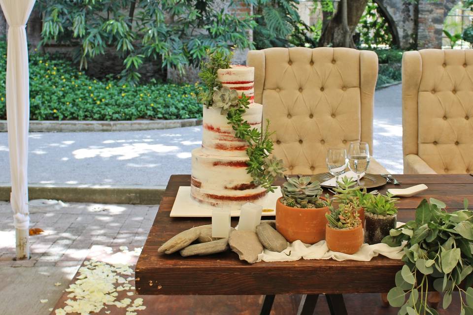 Naked cake con suculentas