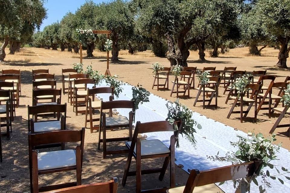 Valle de Guadalupe