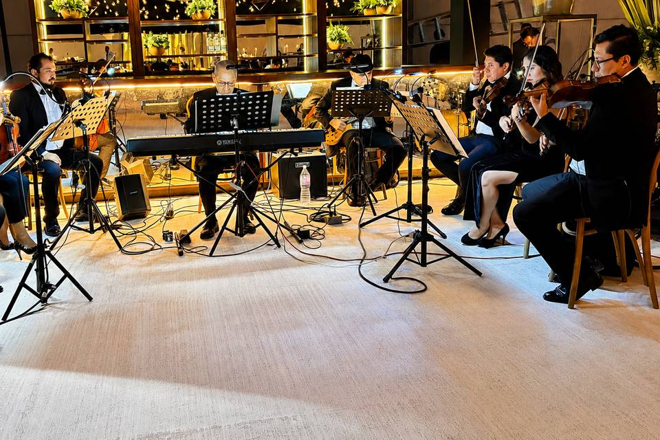 Resonare Strings