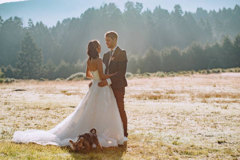 Trash the dress