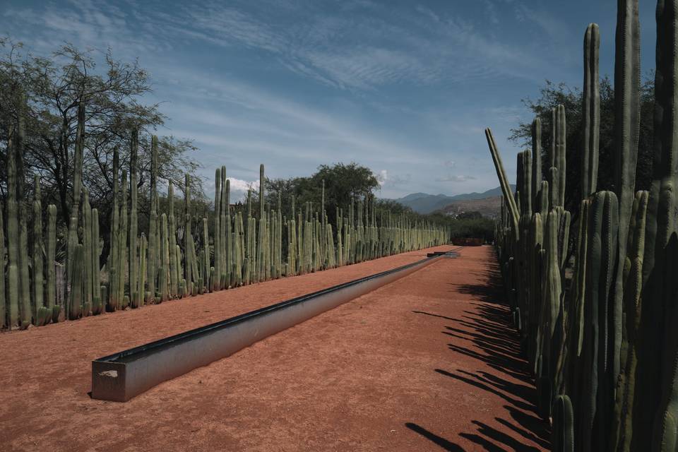 Rancho Cebú